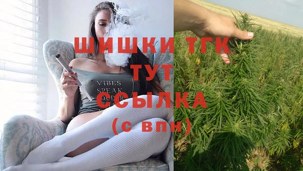 стафф Арсеньев