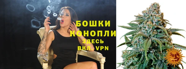 прущие грибы Баксан