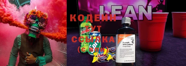 стафф Арсеньев