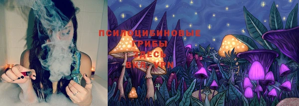 стафф Арсеньев