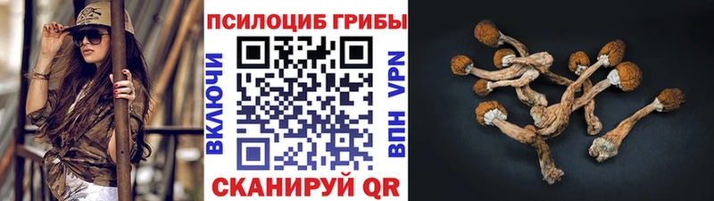 Псилоцибиновые грибы MAGIC MUSHROOMS  сколько стоит  Серов 